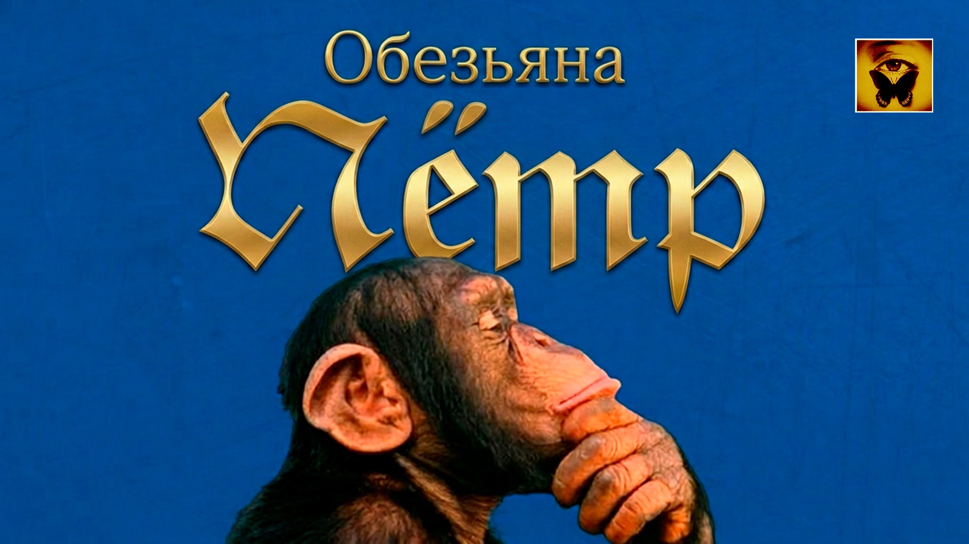 Как обезьяна по имени Пётр стал Человеком