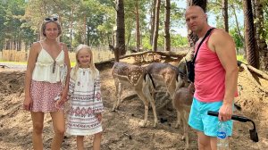 Наша поездка в Минск и Барановичи ( парк животных)