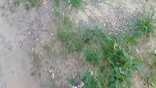 VID_20260624_131232.mp4 смотреть онлайн