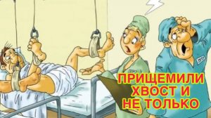 22/6 26  КАК МУХИ НА ЛЕПЁШКУ. РУКА ДРУЖБЫ С ГАЕЧНЫМ КЛЮЧОМ.  СО СТОРОНЫ  ЛЕГКО  РАССУЖДАТЬ.