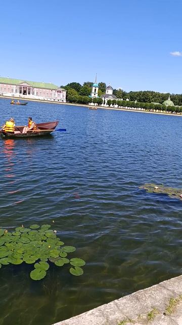 Прогулки по Москве: Кусково 2026 эпизод 8: и ещё лилии в пруду ( съёмка с риском падения в воду)