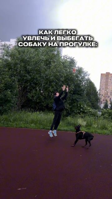 РАВЗЛЕЧЕНИЕ ДЛЯ РОКСИ😼🥎