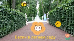 Басик в летнем саду/ Басик с друзьями🐱🐱🐱