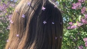 Некушанс
