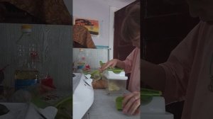 рубрика : Я на кухне