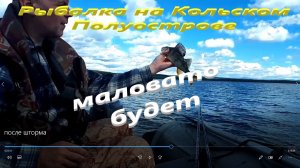 ЛОВЛЮ СИГА И ОКУНЯ после шторма