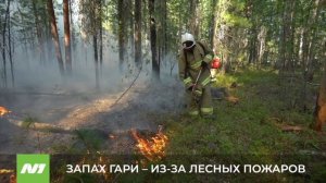 О ситуации с лесными пожарами в Нижневартовском районе
