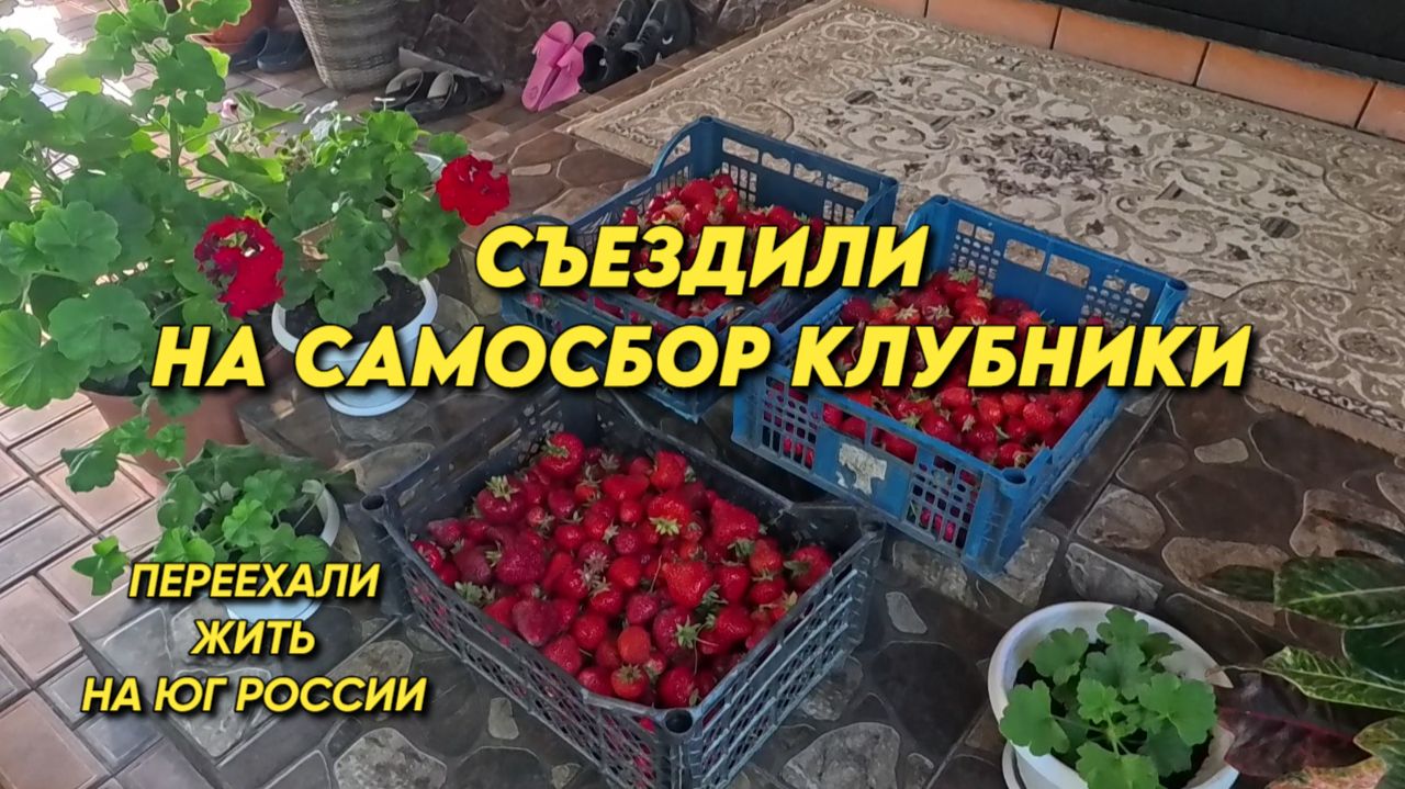 1167 Жизнь семьи в Краснодарском крае/Переехали жить на юг России смотреть онлайн