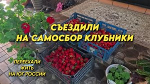 1167 Жизнь семьи в Краснодарском крае/Переехали жить на юг России