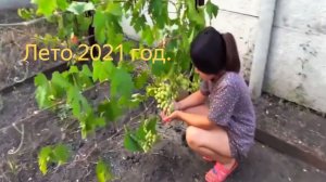 АРХИВ .Лето 2021 год .