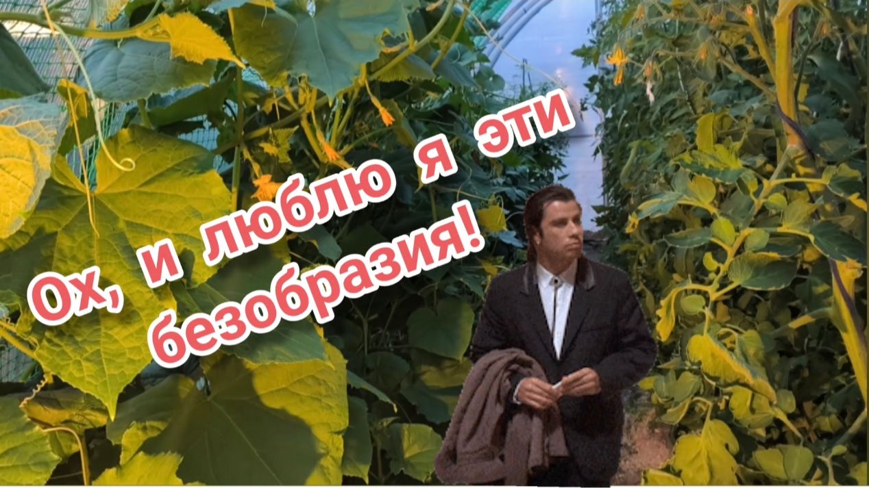 24.06.2026 Придумала себе приключение на ночь глядя. В огороде нет места.
