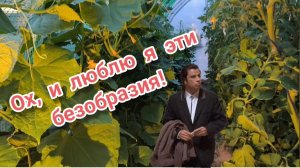 24.06.2026 Придумала себе приключение на ночь глядя. В огороде нет места.
