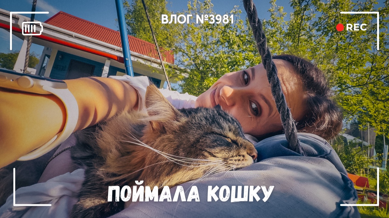 С мамой за покупками | Я поймала кошку - ВЛОГ №3981 - 23.06.26 смотреть онлайн