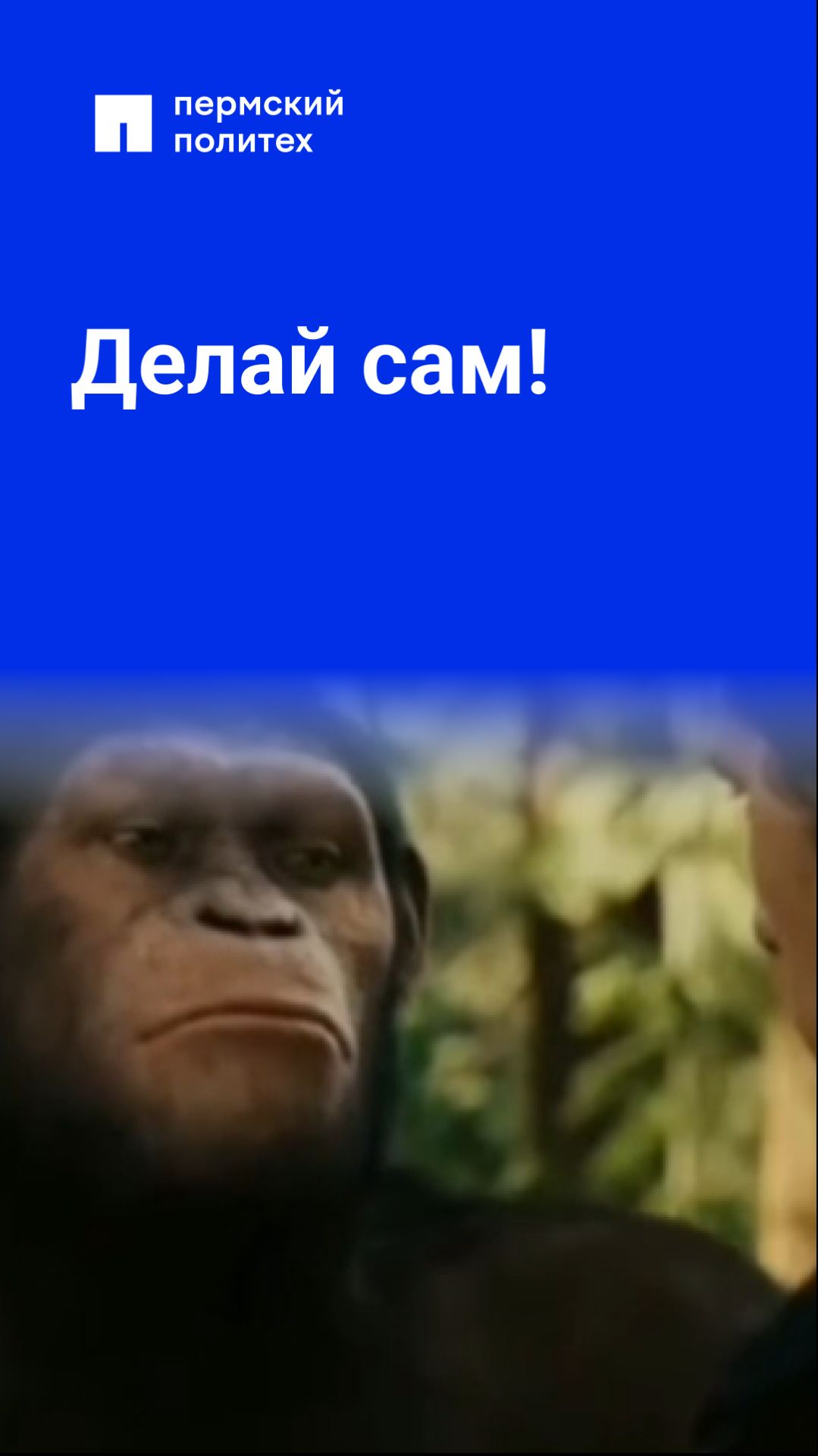 Делай сам!