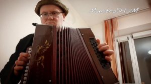 MAESTRO SHUM НА ГАРМОНИКЕ