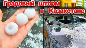 Град размером с куриное яйцо обрушился на Актюбинскую область❗ А будет ли урожай в этом году❗?