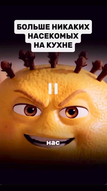Больше никаких насекомых на кухне 🪰
