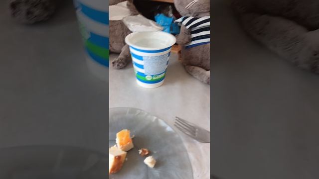день по расписанию😘
