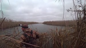 КУПИЛ РУЖЬЁ У ДЕДА, что из этого вышло? ТАК МНОГО УТКИ, САДЯТСЯ НА ГОЛОВУ! ОХОТА НА УТКУ с чучелами