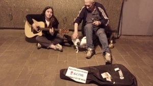 Иван Соколов Виктория Akaiy GX 9 Гитара 🎸 Yamaha  Жил Был Пёс 🐕 Пёс  🐕🦺 Музей Пес