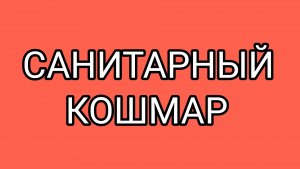 У ДОМОСЕРА волосы встали дыбом от увиденного!