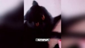 Смех, юмор, ржачь. Часть 13
