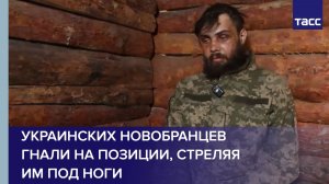 Пленный из ВСУ: украинских новобранцев гнали на позиции, стреляя им под ноги