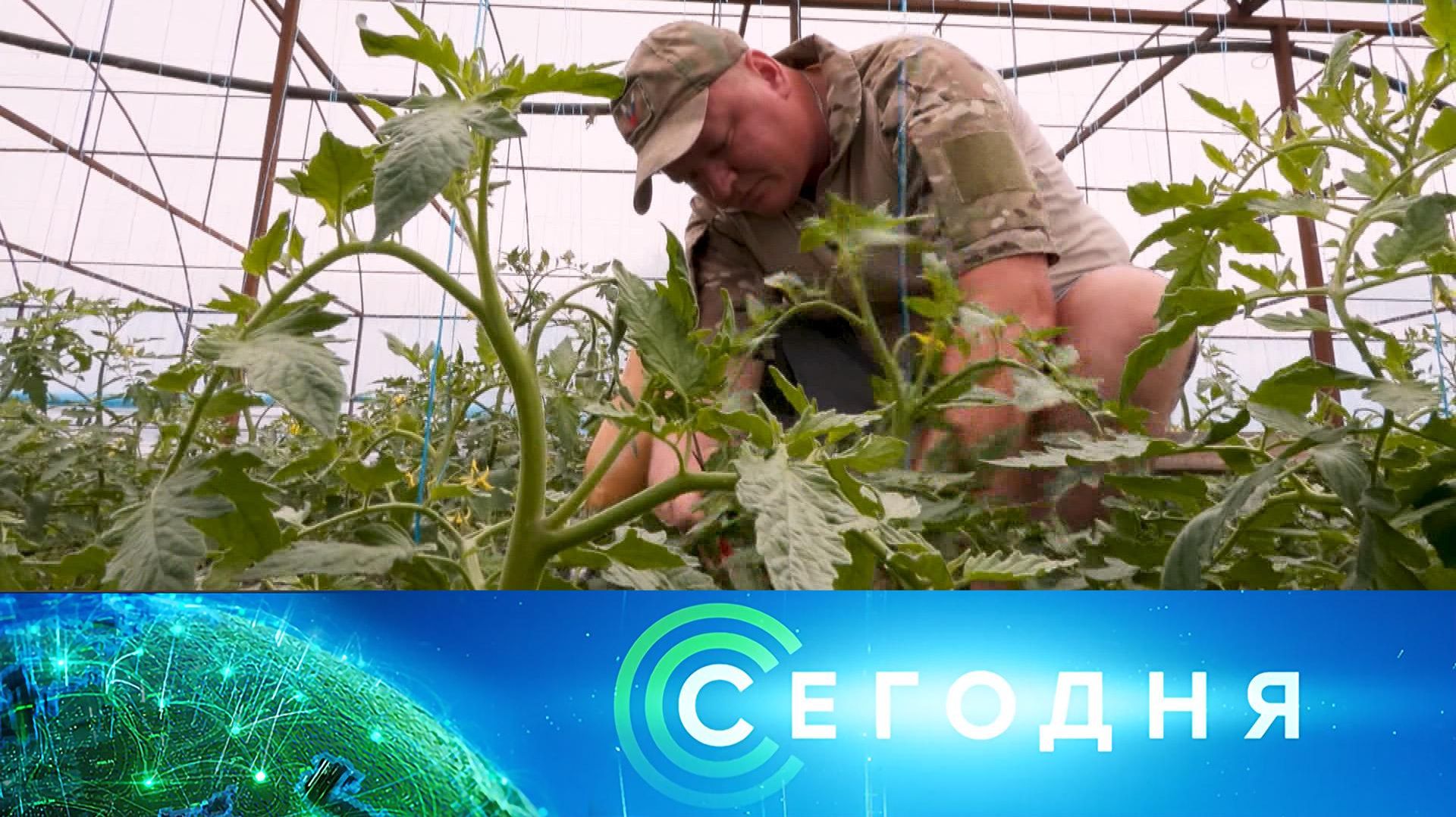 «Сегодня»: 24 июня 2026 года. 10:00 | Выпуск новостей | Новости НТВ смотреть онлайн