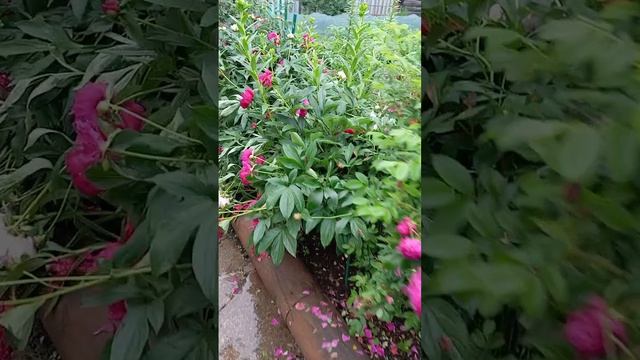 Последствия УРАГАНА 22.06.26г