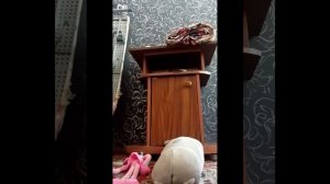 Двойная жизнь Фисы 1 сезон 8 серия