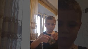 пробуем роллтон