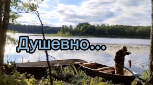 Душевно получилось. 21.06.2026