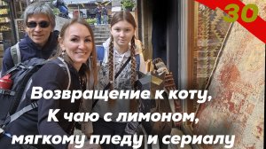 Возвращение к коту, чаю с лимоном, мегкому пледу и сериалы. Мы домой