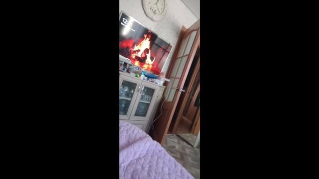 :p смотреть онлайн