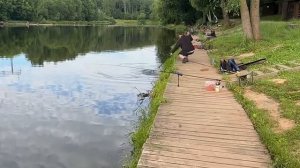 Утро на водоёме.Карпуша