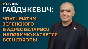 Гайдукевич: ультиматум Зеленского в адрес Беларуси напрямую касается всей Европы
