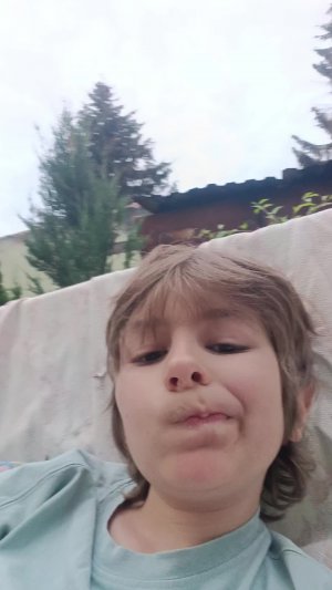 вечерняя  дача и задавайте вопросы