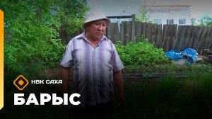 «Барыс» (24.06.26)