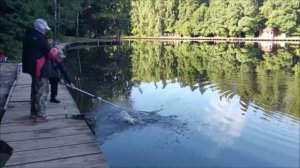 Утренний обзор с нижнего водоёма. Клёвое  место, Лосиный остров.
