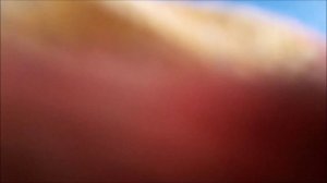 Рубероид вместо подкладочного ковра и карнизная планка.
