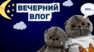 Вечерний влог с Басиками 🥱