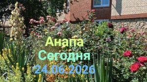 Анапа Сегодня 24.06.2026