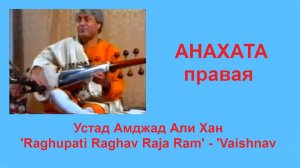 40-2 АНАХАТА правая  Устад Амджад Али Хан