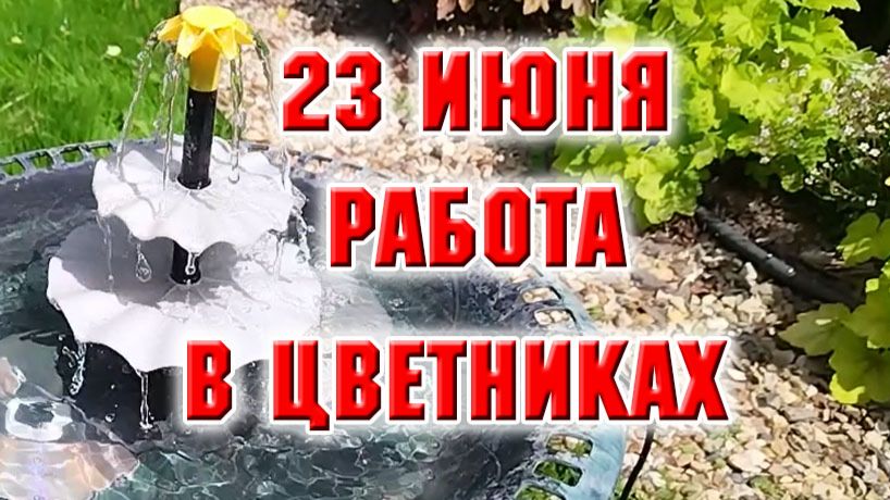 23 июня. Работа в цветниках