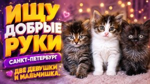 Ищу добрые руки. Санкт-Петербург. Две девушки и мальчишка.