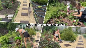 Дачный влог №33 🍓 Доделала садовую дорожку | Обработала кусты
