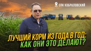 Золотые правила заготовки кормов | Технология СПК Кобраловский | Лучший силос и сенаж | Агрофинс