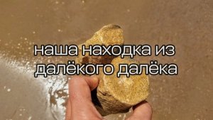 Находка части скелета древнего млекопитающего, постройки из песка