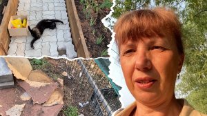 У меня противный голос! А я и не знала🤪 Ночной погром😱