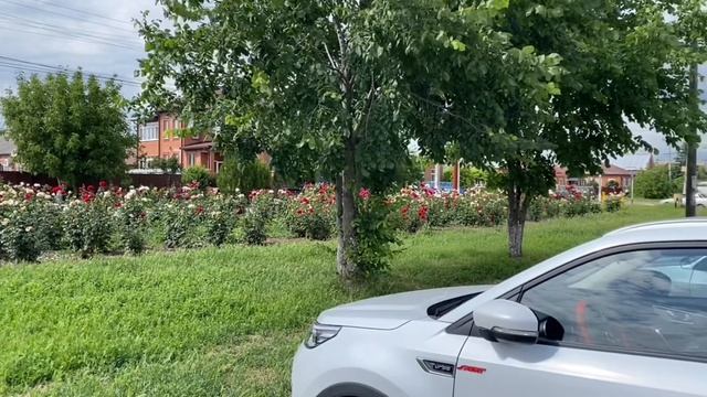 Анапа - Москва М 4 Дон ШтрафБензин.